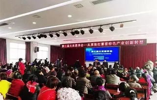 權(quán)威專家解讀 紅薯生產(chǎn)種植的關(guān)鍵要點與科學(xué)管理