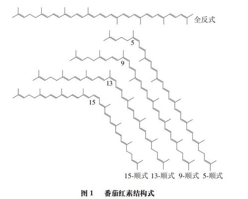 番茄紅素異構(gòu)化研究進(jìn)展 華中農(nóng)業(yè)大學(xué)潘思軼教授團(tuán)隊(duì)的農(nóng)業(yè)科學(xué)探索