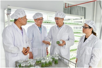 洋林精神薪火相傳 育出不竭發(fā)展“良種”